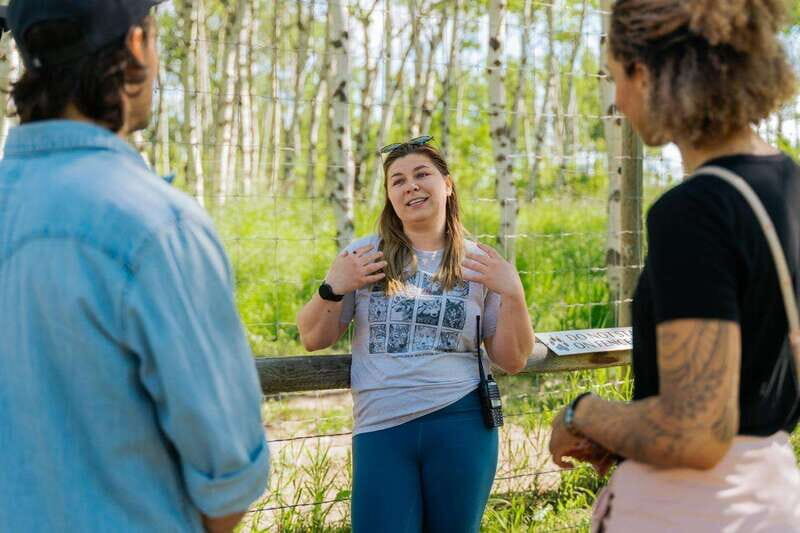 Cochrane: Yamnuska Wolfdog Sanctuary Tour - Final Thoughts