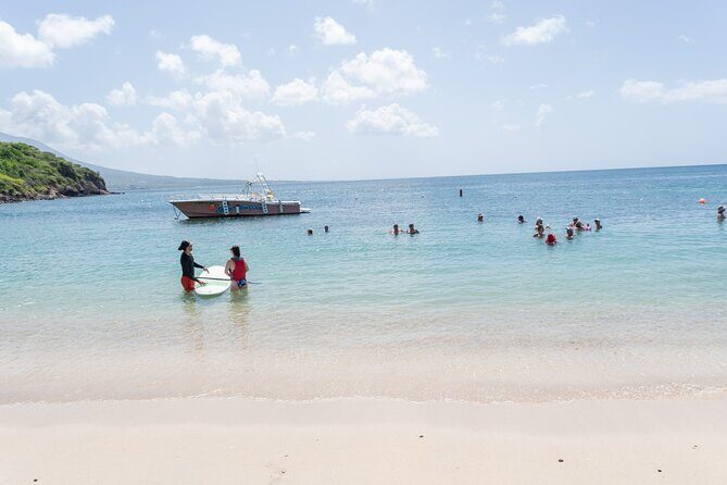Cockleshell Beach Excursion, Snorkeling and Scenic Views - Who Will Love This Tour?