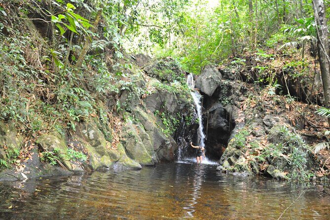 Cockscomb Basin Waterfalls and Jungle Hike Tour - An In-Depth Look at the Cockscomb Basin Waterfalls and Jungle Hike Tour