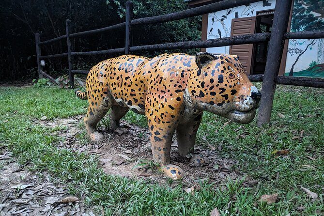 Cockscomb Basin Wildlife Sanctuary Hike from Hopkins - The Sum Up