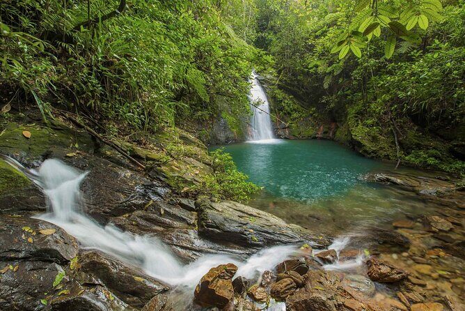 Cockscomb Wildlife Sanctuary - Discovering Belizes Hidden Jungle Treasure: The Cockscomb Wildlife Sanctuary Tour
