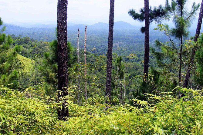 Cockscomb Wildlife Sanctuary - Final Thoughts: Is This Tour Right for You?