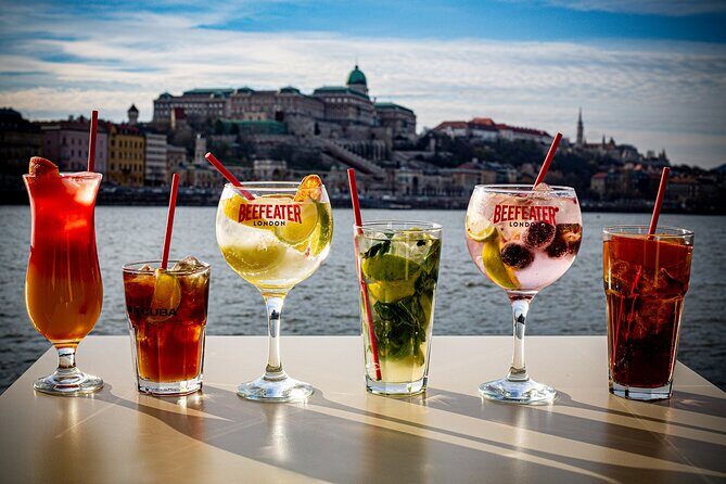 Cocktail Cruise Downtown Budapest - Who Will Love This Experience?