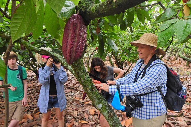 Cocoa and Cloud Forest private full day tour - An Authentic Ecuadorian Adventure: Cocoa and Cloud Forest Private Tour