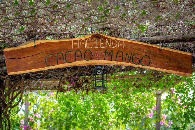 Cocoa and Gastronomy Tour at Hacienda CacaoyMango - Exploring the Full Itinerary: What You Can Expect