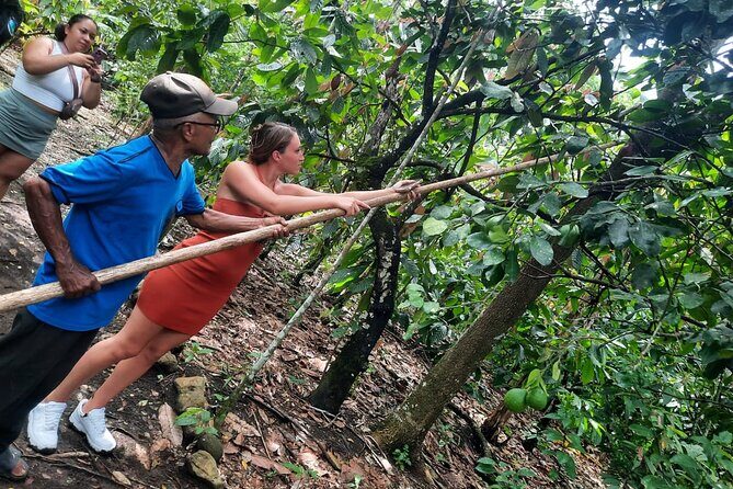 Cocoa & Artisan Chocolate Route with an Historical Tour in Puerto Plata City - A Sweet Journey Through Puerto Plata: Cocoa & Artisan Chocolate Route with a Historical Twist
