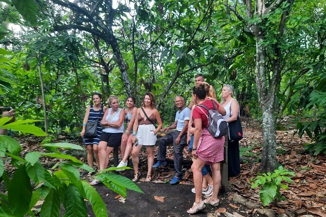 Cocoa & Artisan Chocolate Route with an Historical Tour in Puerto Plata City - Exploring the Itinerary in Detail