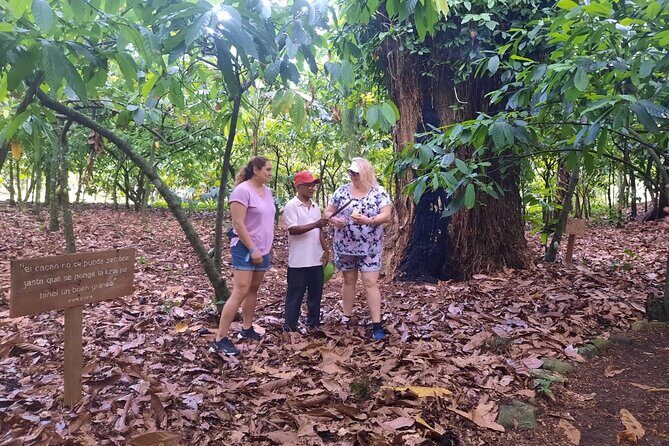 Cocoa & Artisan Chocolate Route with an Historical Tour in Puerto Plata City - FAQ