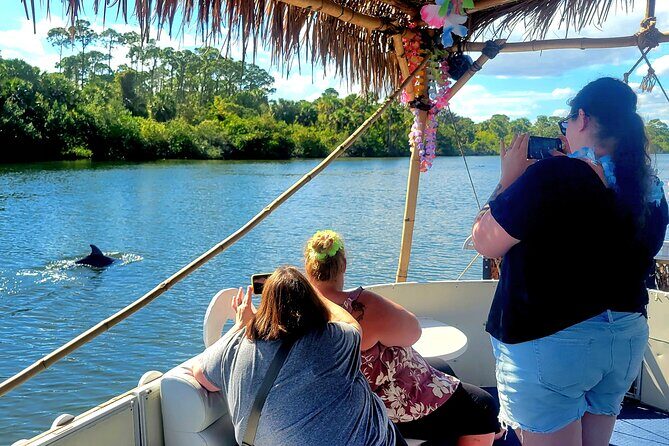 Cocoa Beach 2 Hour Dolphin Sightseeing tour- public - A Closer Look at the Cocoa Beach 2 Hour Dolphin Sightseeing Tour