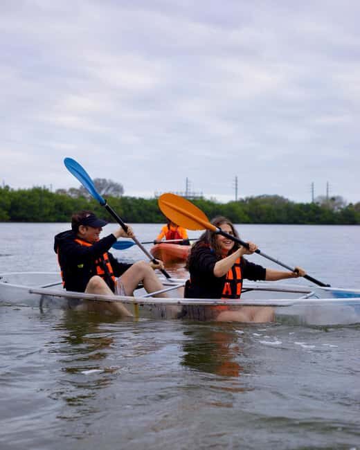Cocoa Beach: Clear Kayak Sunset & Bioluminescence Tour - An In-Depth Look at the Cocoa Beach Bioluminescence & Sunset Kayak Tour