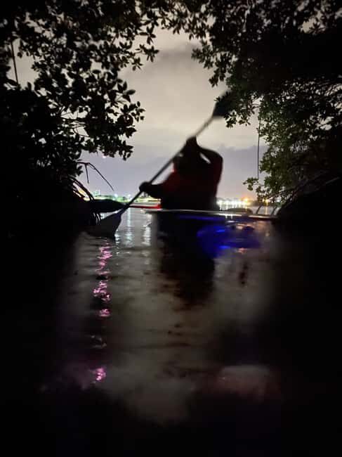 Cocoa Beach: Clear Kayak Sunset & Bioluminescence Tour - Who Will Love This Tour?