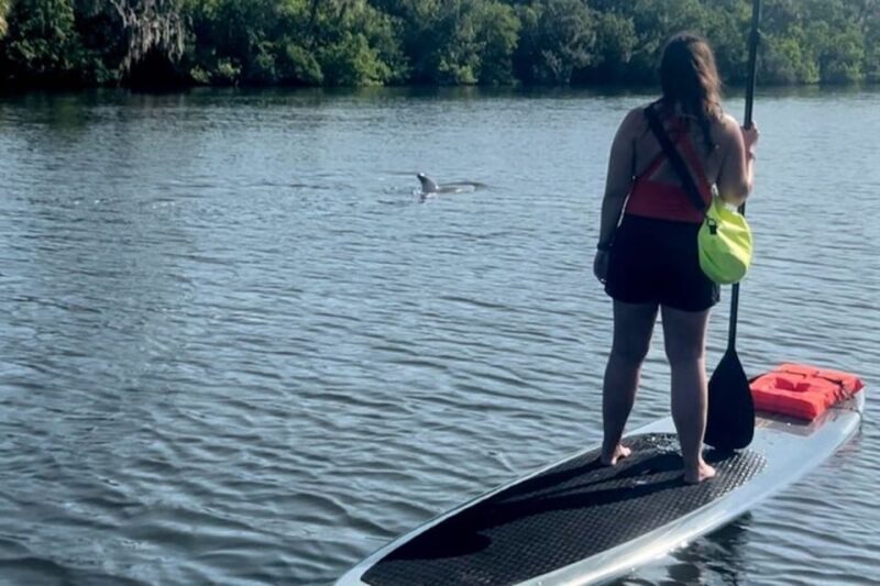 Cocoa Beach: Dolphin and Manatee Kayak or Paddle Tour - Authentic Encounters and Honest Opinions