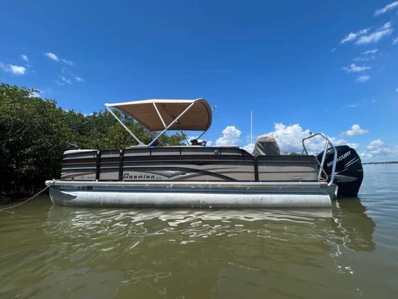 Cocoa Beach: Dolphin & Manatee Pontoon Cruise - Discovering the Space Coast from the Water
