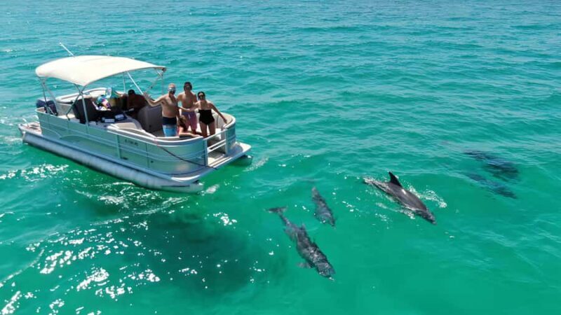 Cocoa Beach: Dolphin & Manatee Small Group Eco Boat Tour - Key Points