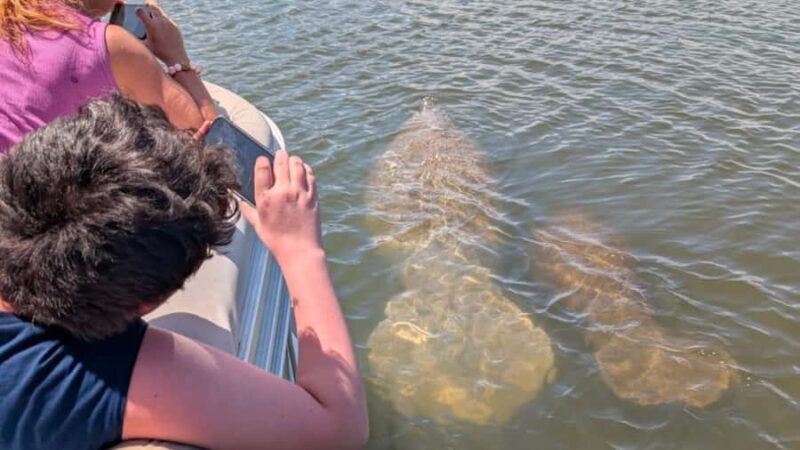 Cocoa Beach: Dolphin & Manatee Small Group Eco Boat Tour - Why This Tour Offers Good Value