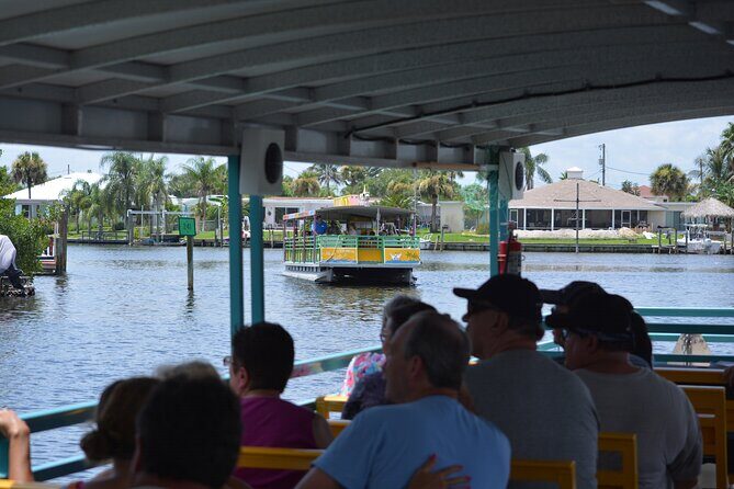 Cocoa Beach Dolphin Tours on the Banana River - An In-Depth Look at Cocoa Beach Dolphin Tours