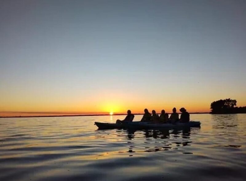 Cocoa Beach/Merritt Island: Guided Dolphin and Manatee Tour - Final Thoughts