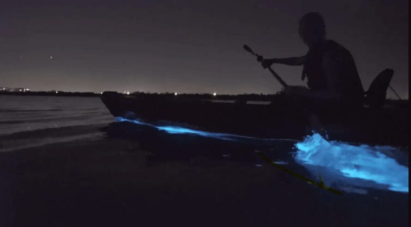 Cocoa Beach/Merritt Island:Bioluminescent kayak tour - Key Points