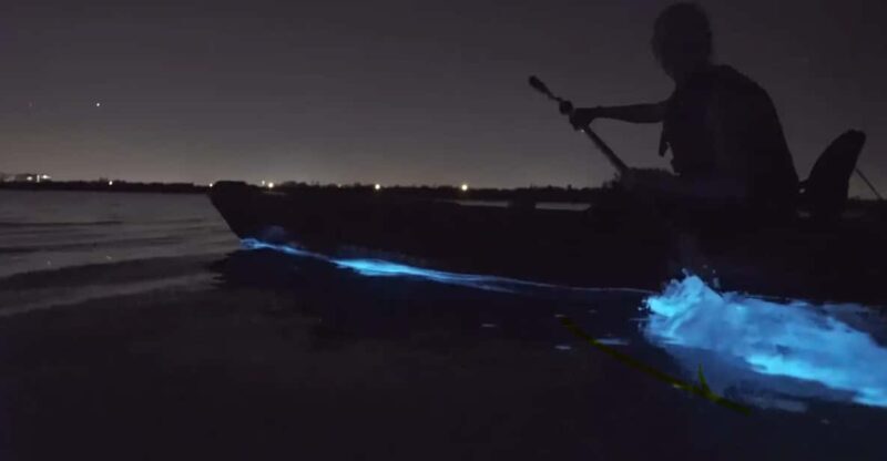 Cocoa Beach/Merritt Island:Bioluminescent kayak tour - Who Will Love This Experience?