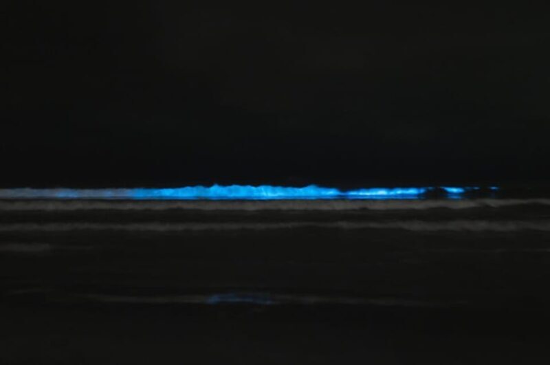 Cocoa Beach/Merritt Island:Bioluminescent kayak tour - The Sum Up
