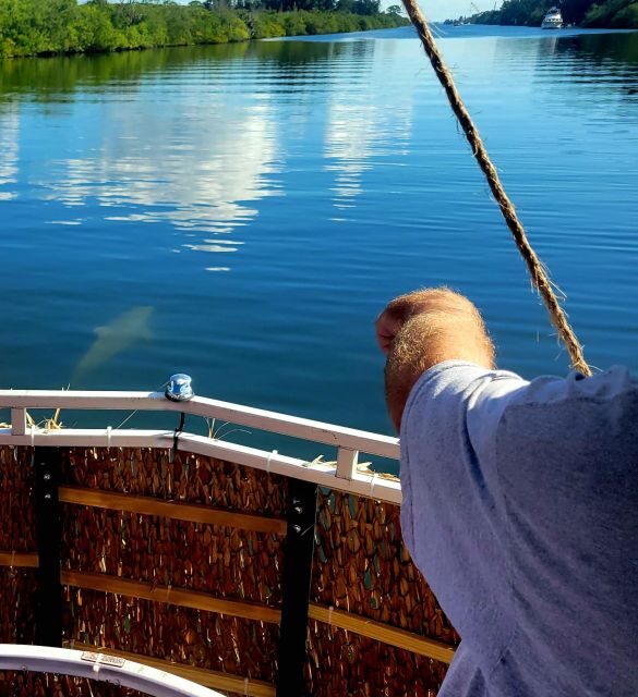 Cocoa Beach: Private 2-Hour Dolphin Sightseeing Tour - What to Expect on Your 2-Hour Dolphin and Nature Tour