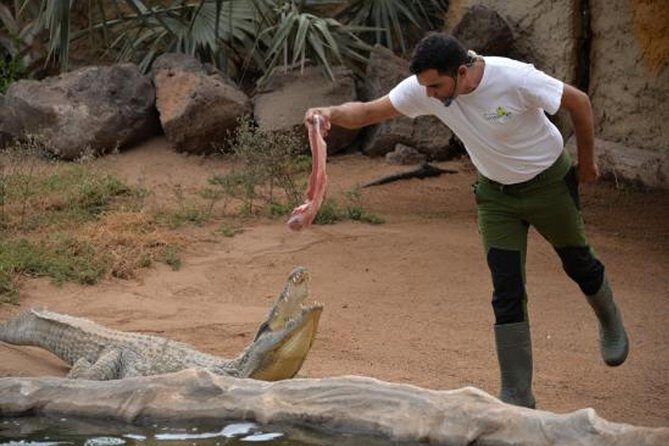 Cocodrilo Park Zoo Admission Ticket in Agüimes - An In-Depth Look at Cocodrilo Park