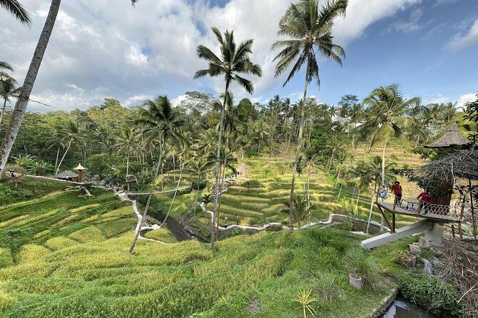 coconut wine and coffee safary tour - Frequently Asked Questions