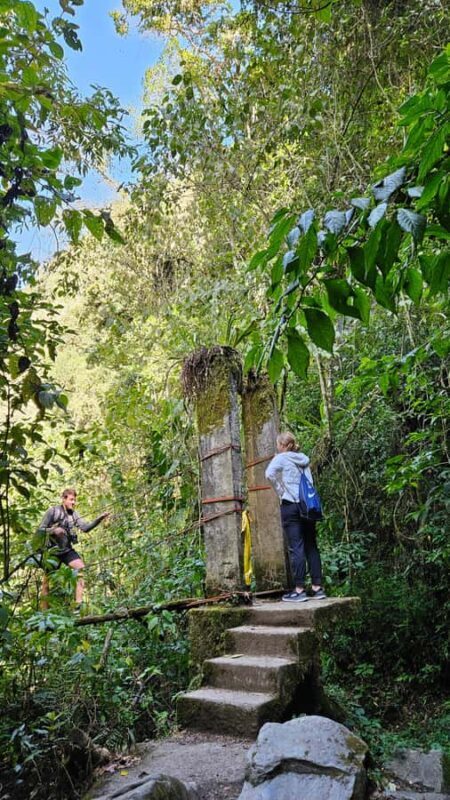 Cocora: trek to the hummingbirds sanctuary - What We Love and What to Consider