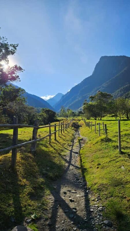 Cocora: trek to the hummingbirds sanctuary - Who This Tour Is Best For