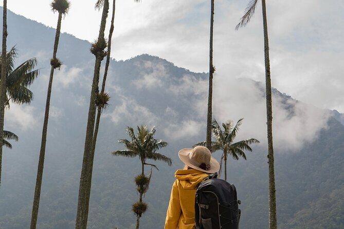 Cocora Valley and Salento Hike Tour - Final Thoughts
