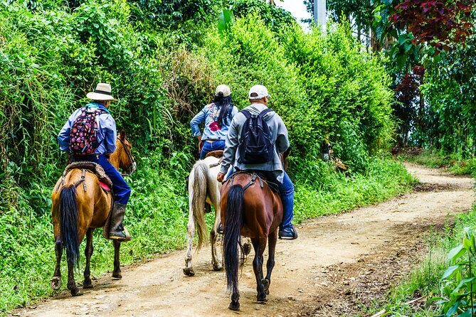 Cocora Valley and Salento Horseback Riding Day Tour - Key Points
