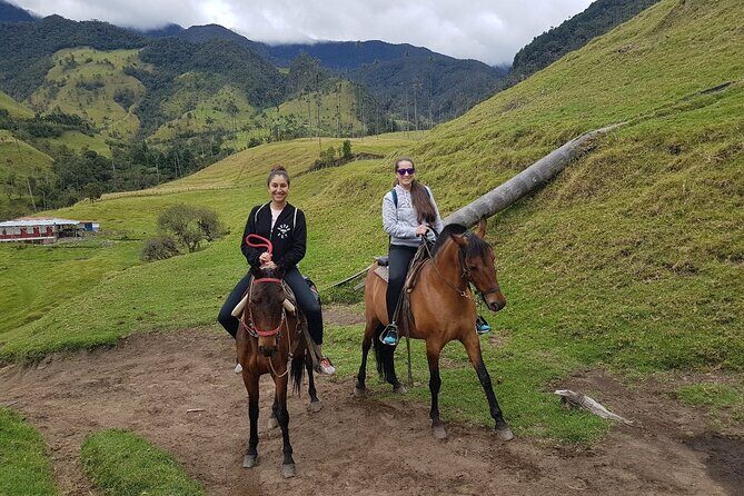 Cocora Valley and Salento Horseback Riding Day Tour - The Sum Up: Who Should Consider This Tour?