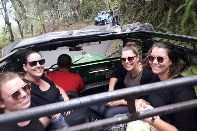 Cocora Valley: Birding & Hiking with Breakfast & Lunch - Why This Tour Is Valuable for Travelers