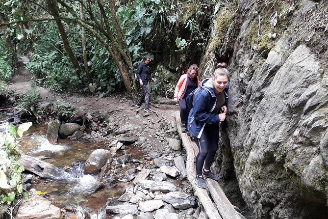 Cocora Valley: Birding & Hiking with Breakfast & Lunch - Who Should Book This Tour?