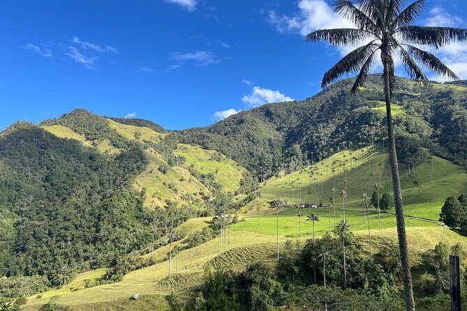 Cocora Valley Shared Tour - What Past Travelers Say