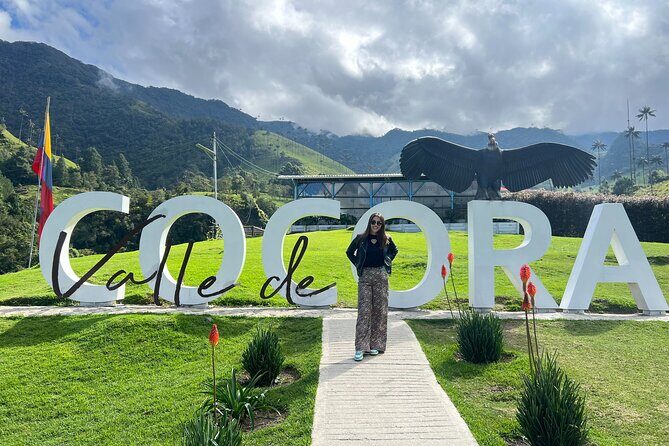 Cocora Valley Shared Tour - Discovering the Cocora Valley: A Natural Marvel and Cultural Icon