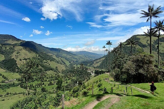 Cocora Valley Shared Tour - An In-Depth Look at the Cocora Valley Shared Tour