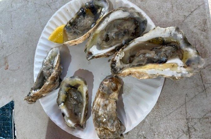 Cod, Tea and Candy a Boston Food History Walking Tour - Key Points