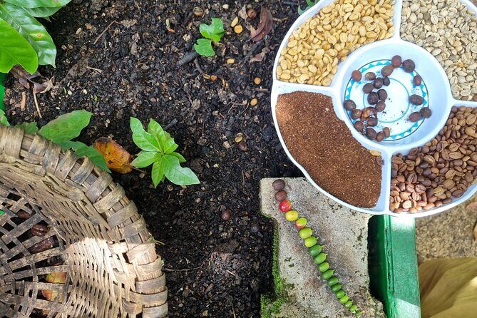 Coffe Tour and Chorotega Cultural Experience on the Blue zone - FAQ