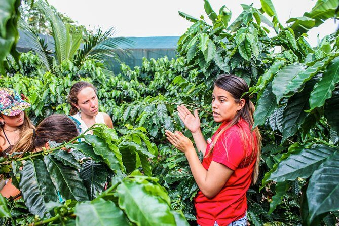 Coffee and Chocolate Tour in La Fortuna - Exploring the Coffee and Chocolate Tour in La Fortuna