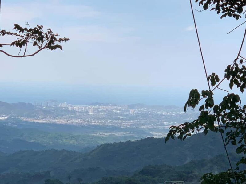 Coffee and Cocoa Tour in Minca! - The Sum Up