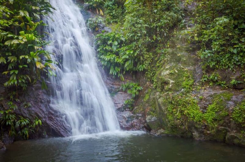 Coffee and Cocoa Tour in Minca! - FAQs