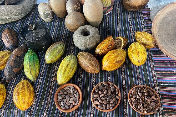 Coffee and Gastronomic Bike Tour in Antigua - Key Points