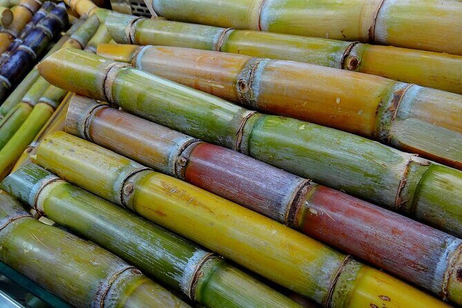 Coffee, Chocolate and Sugarcane Tour La Fortuna - Key Points