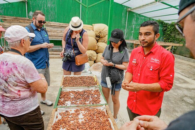Coffee, Chocolate & Sugar Cane Tour (Regular) - FAQs