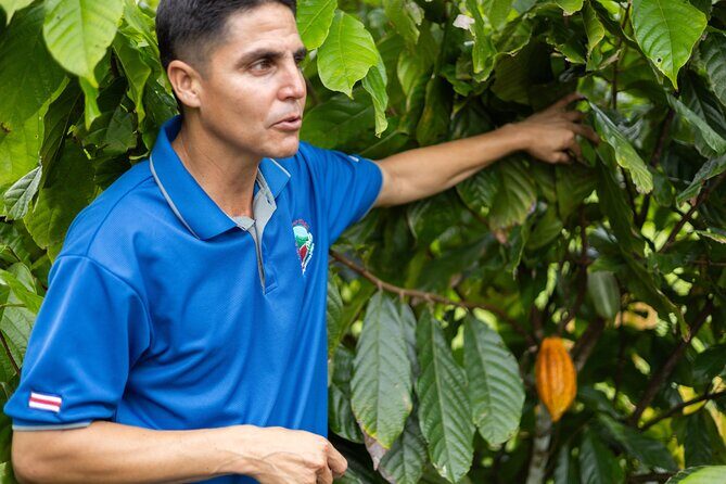 Coffee & Chocolate Tour+Sloths Park & Llanos de Cortez Waterfall - Key Points