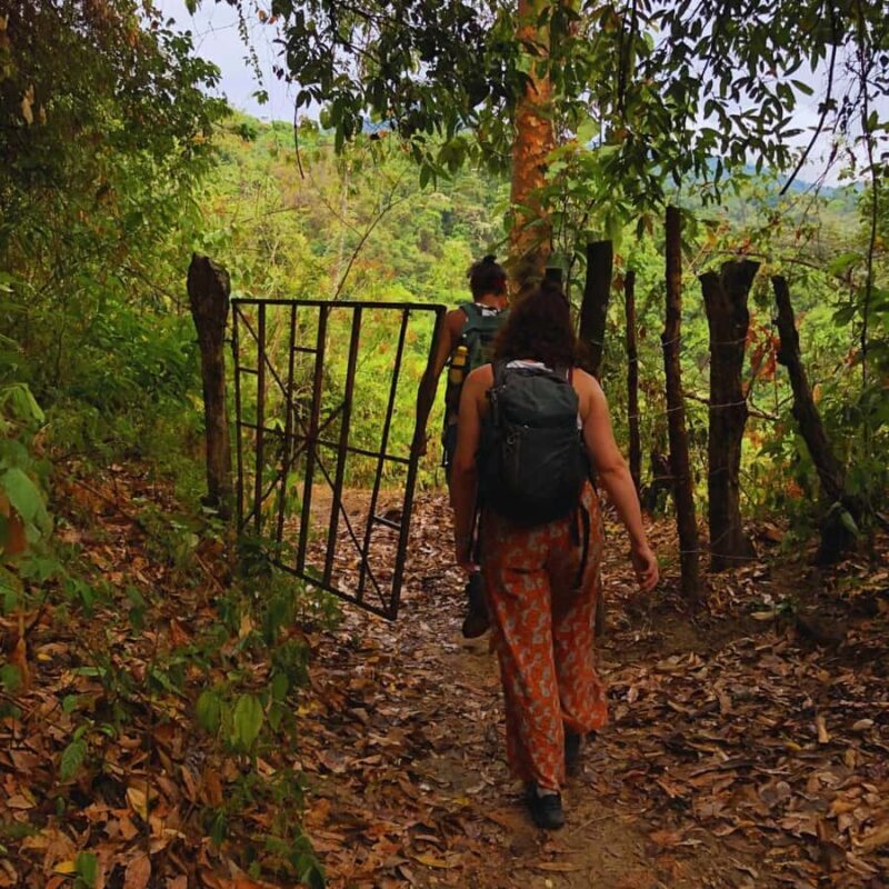 Coffee, Cocoa and Trekking Tour in Minca: Nature, Crops and Production - Detailed Itinerary Breakdown