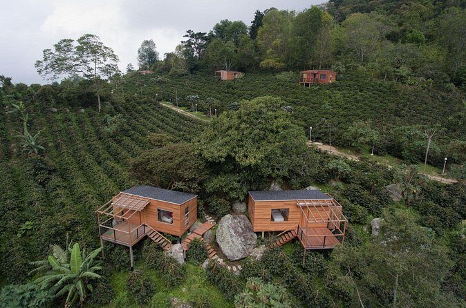 Coffee Experience at La Palma & El Tucan - Who Should Consider This Tour?