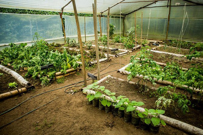 Coffee Experience at La Palma & El Tucan - The Sum Up