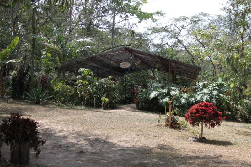 Coffee Experience: Hacienda Coloma Tour from Bogotá - Final Thoughts